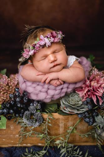 Ein Baby in einem Blumenkorb